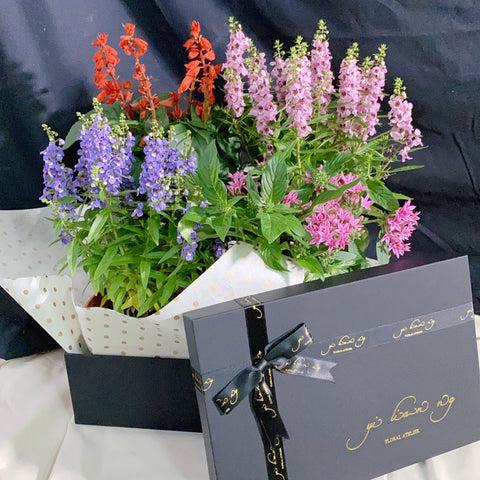 Flowering Plants Box